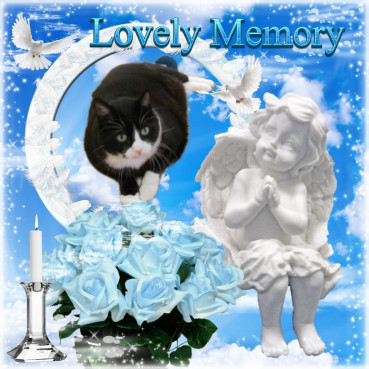 Kimi of the birutakimi family