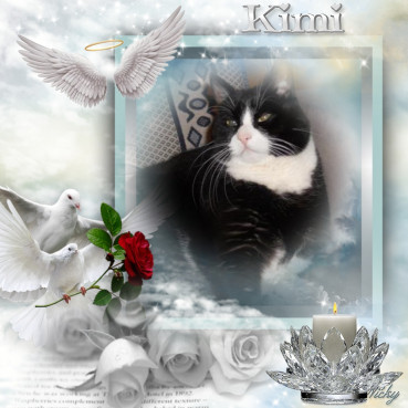 Kimi of the birutakimi family