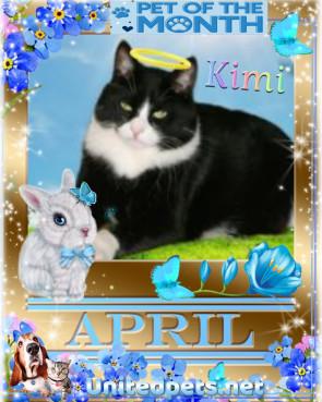 Kimi of the birutakimi family