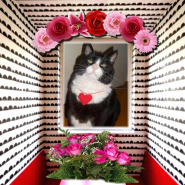 Kimi of the birutakimi family