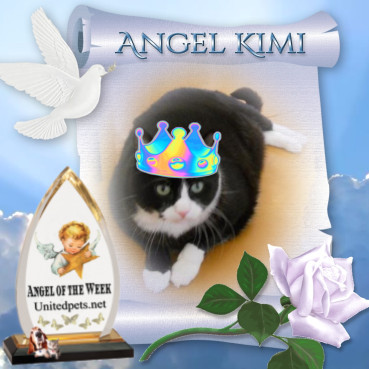 Kimi of the birutakimi family