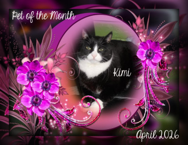 Kimi of the birutakimi family