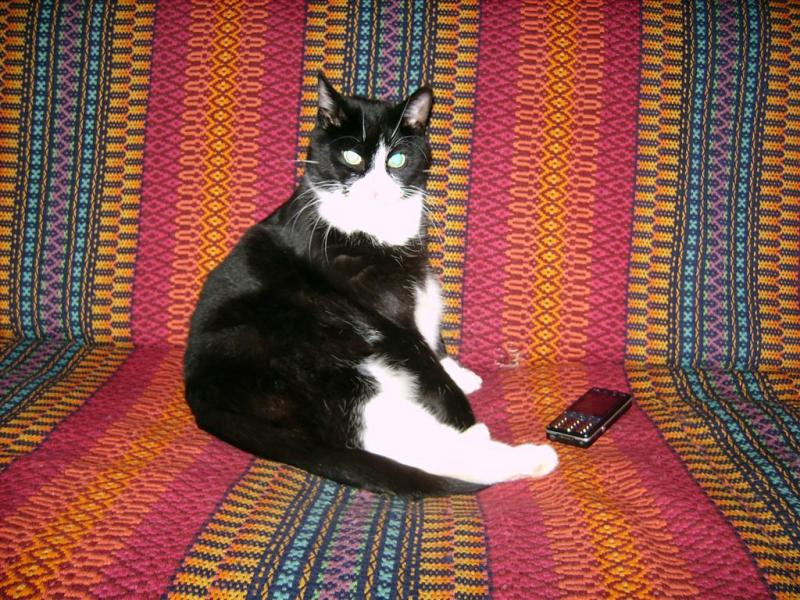 birutakimi uploaded   237  day/s  ago