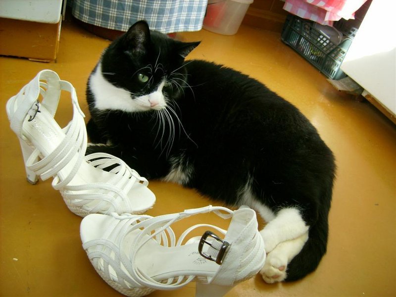 birutakimi uploaded   8 year/s ago