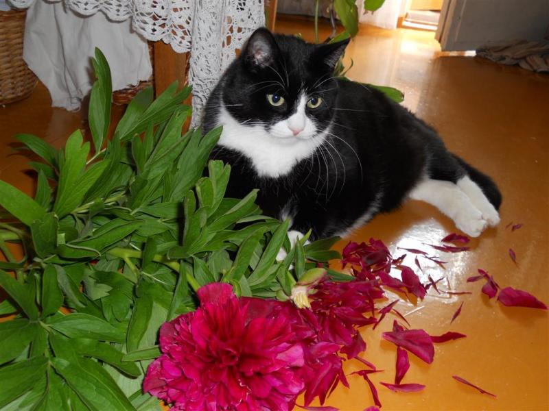 birutakimi uploaded   3 year/s ago