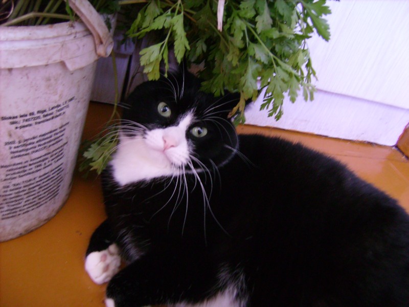 birutakimi uploaded   2 year/s ago