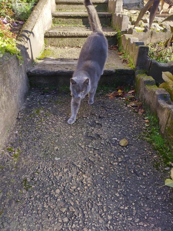 June of the birutakimi family