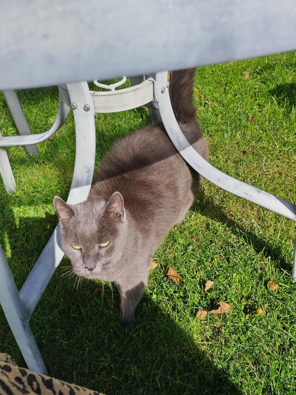 birutakimi uploaded   234  day/s  ago