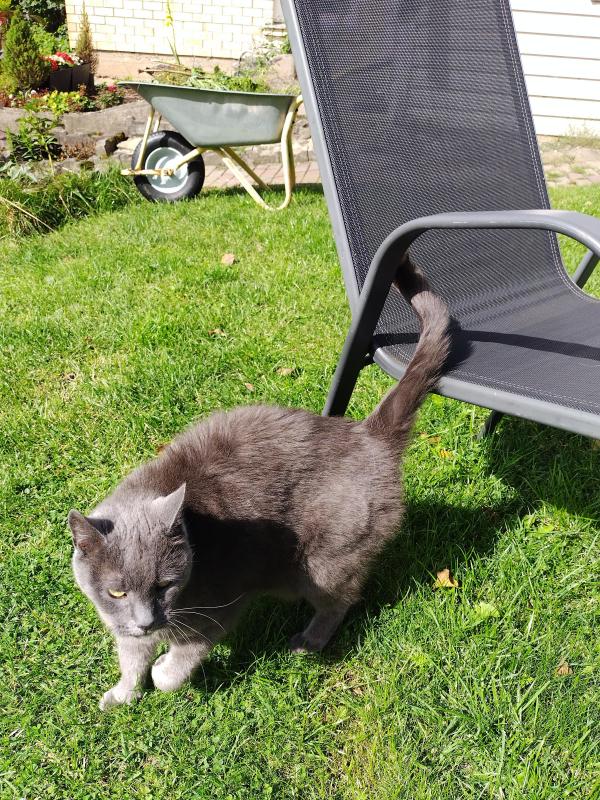 June of the birutakimi family