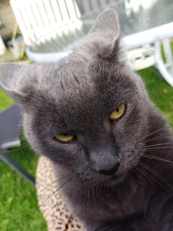 June of the birutakimi family