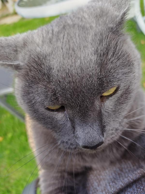 June of the birutakimi family