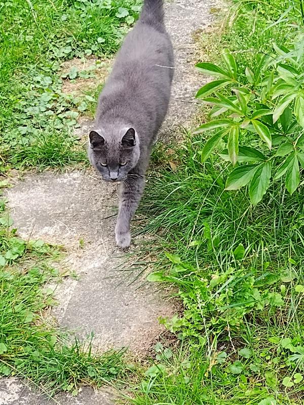 birutakimi uploaded   351  day/s  ago