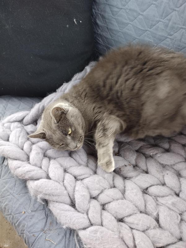 birutakimi uploaded   341  day/s  ago