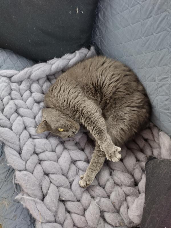 birutakimi uploaded   341  day/s  ago