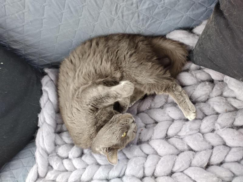 birutakimi uploaded   341  day/s  ago