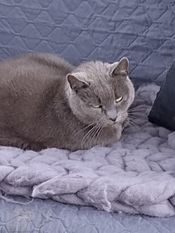 birutakimi uploaded   341  day/s  ago