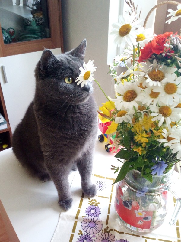 birutakimi uploaded   6 year/s ago