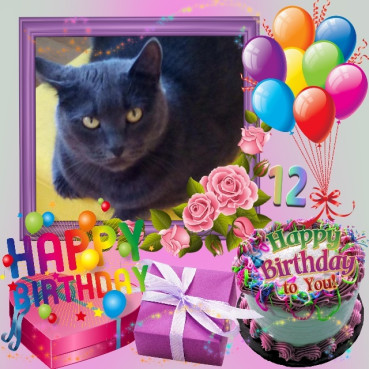 birutakimi uploaded   9  day/s  ago