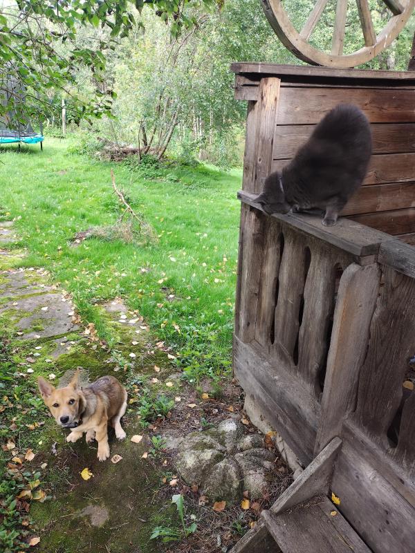 June of the birutakimi family