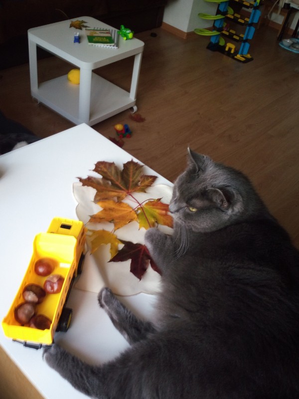 birutakimi uploaded   6 year/s ago