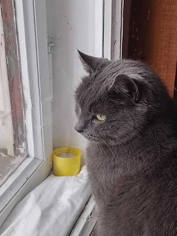 birutakimi uploaded   1 year/s ago