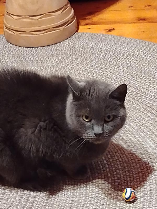 birutakimi uploaded   1 year/s ago