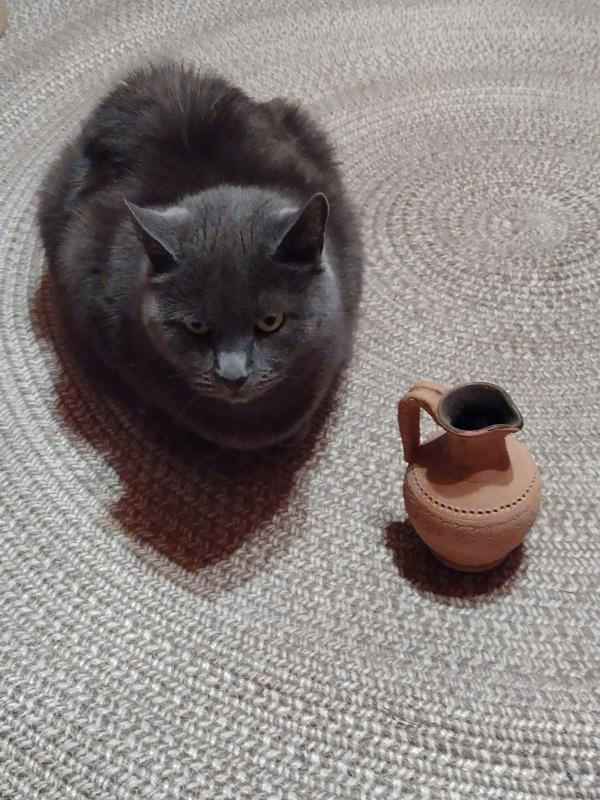 birutakimi uploaded   1 year/s ago