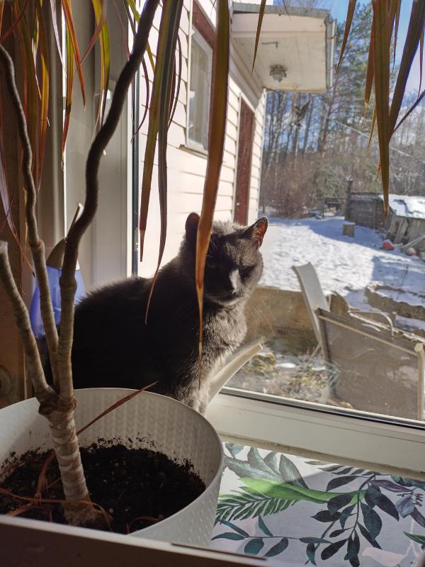 birutakimi uploaded   1 year/s ago