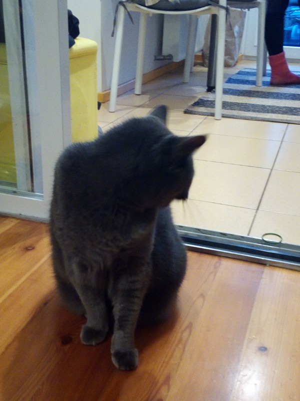 birutakimi uploaded   3 year/s ago