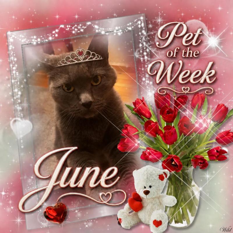 June of the birutakimi family