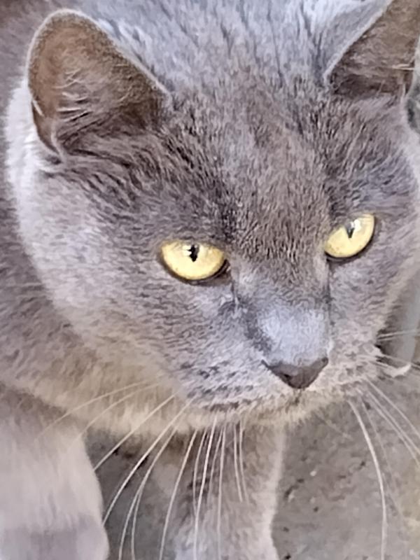 birutakimi uploaded   303  day/s  ago