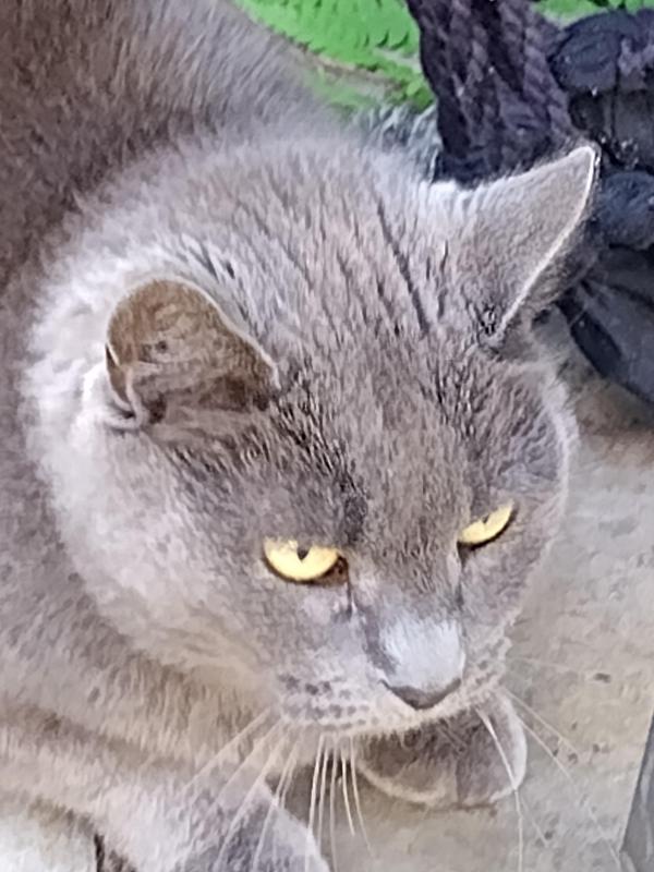 birutakimi uploaded   303  day/s  ago