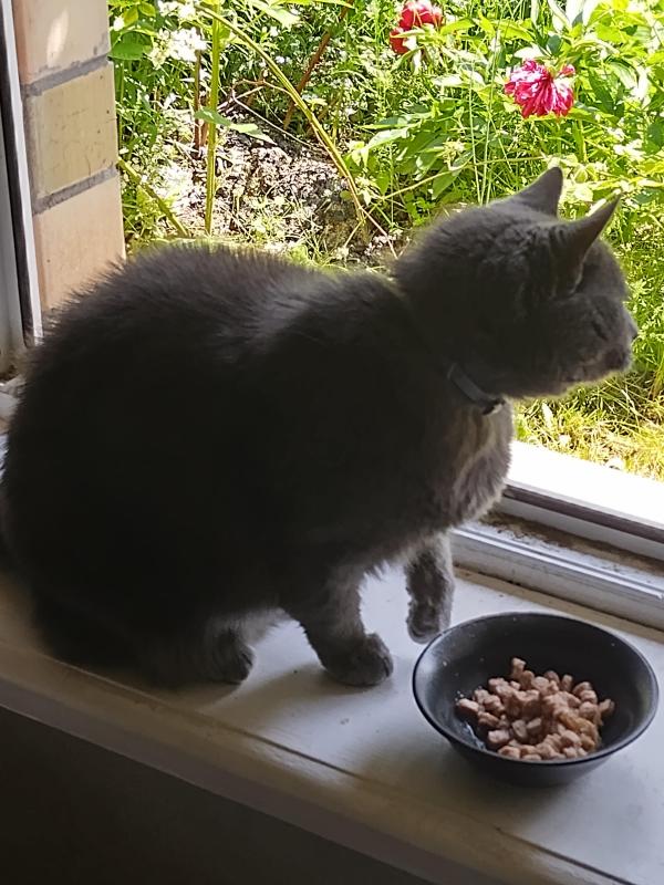 birutakimi uploaded   303  day/s  ago