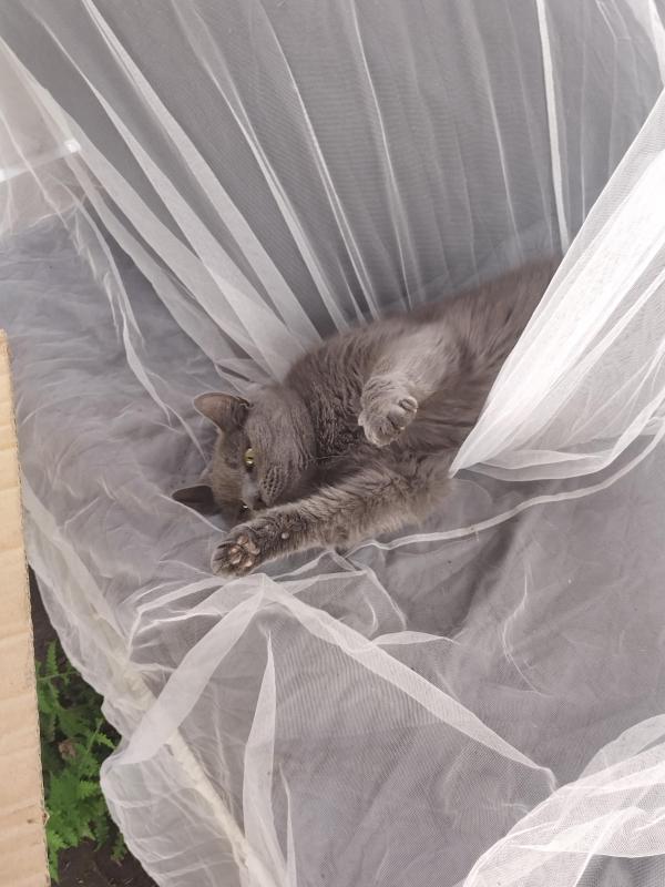 birutakimi uploaded   286  day/s  ago