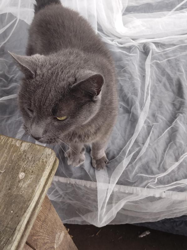 birutakimi uploaded   286  day/s  ago