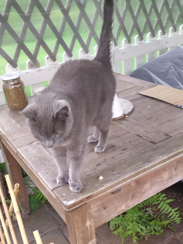 birutakimi uploaded   276  day/s  ago