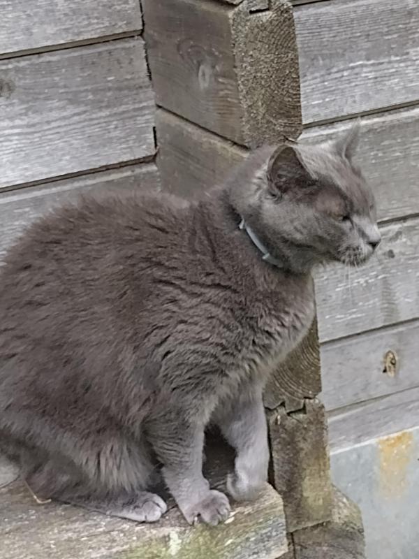 birutakimi uploaded   258  day/s  ago