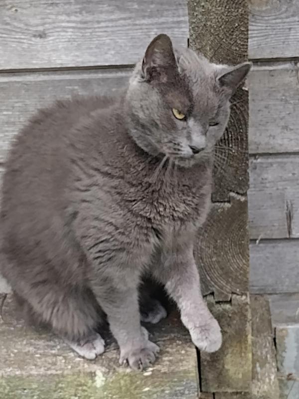 birutakimi uploaded   258  day/s  ago