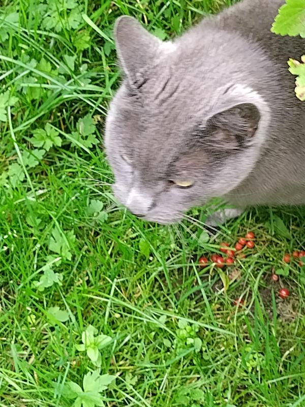 birutakimi uploaded   258  day/s  ago