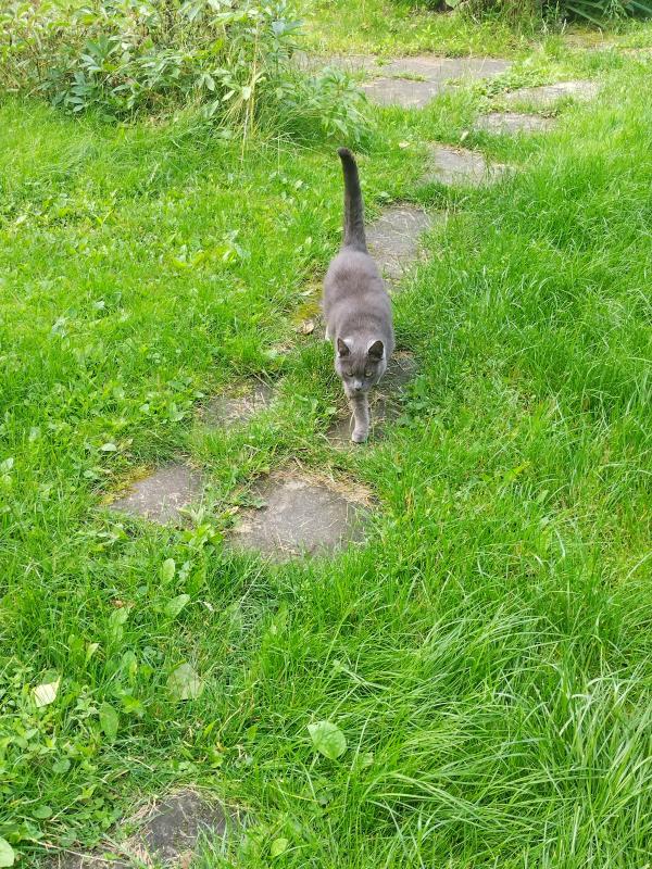 birutakimi uploaded   258  day/s  ago