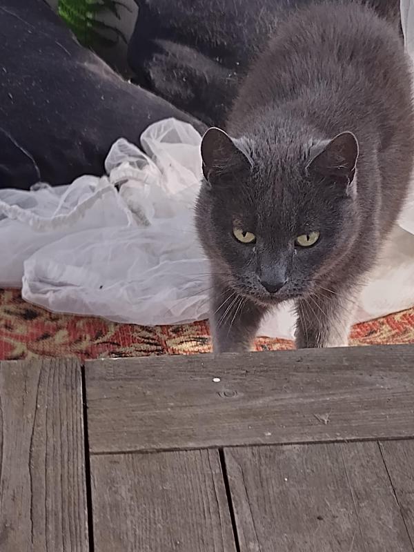 birutakimi uploaded   258  day/s  ago