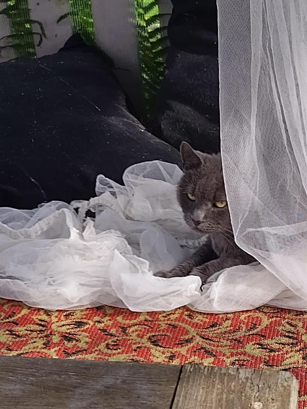 birutakimi uploaded   258  day/s  ago