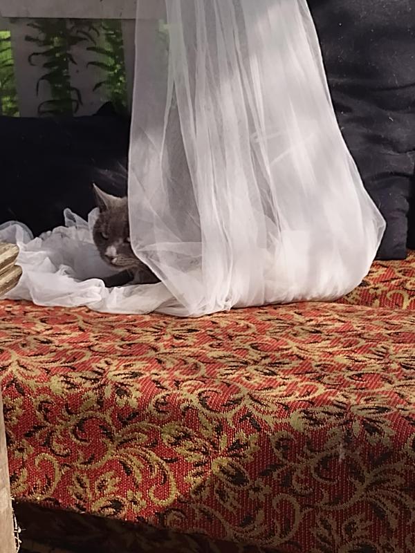 birutakimi uploaded   258  day/s  ago