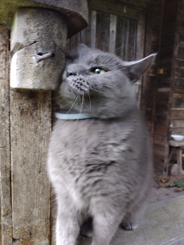 birutakimi uploaded   2 year/s ago