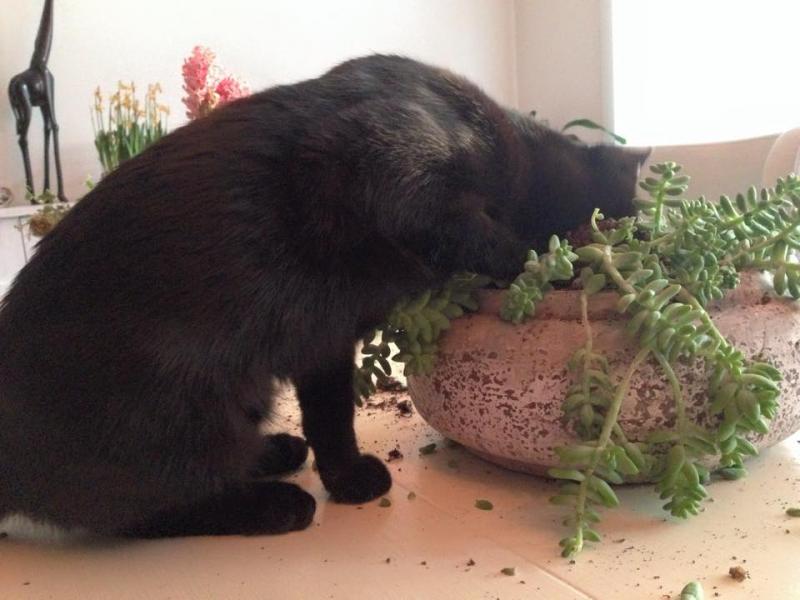 erna63 uploaded   10 year/s ago