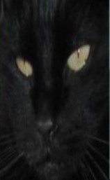 erna63 uploaded   2 year/s ago