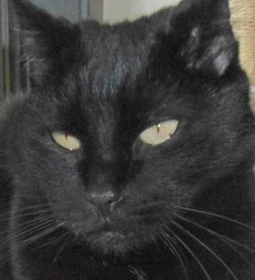 erna63 uploaded   1 year/s ago