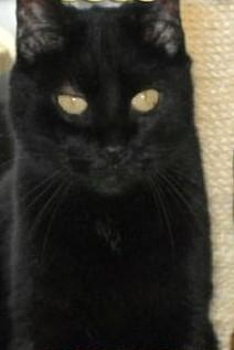 erna63 uploaded   1 year/s ago