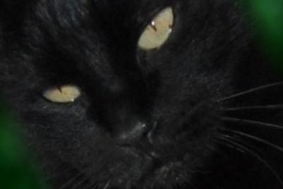 erna63 uploaded   1 year/s ago