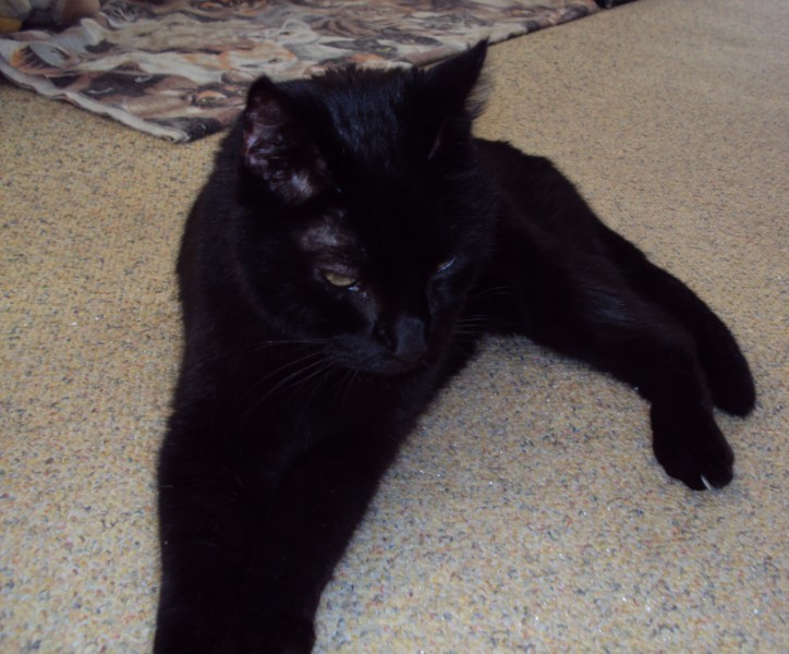 erna63 uploaded   1 year/s ago